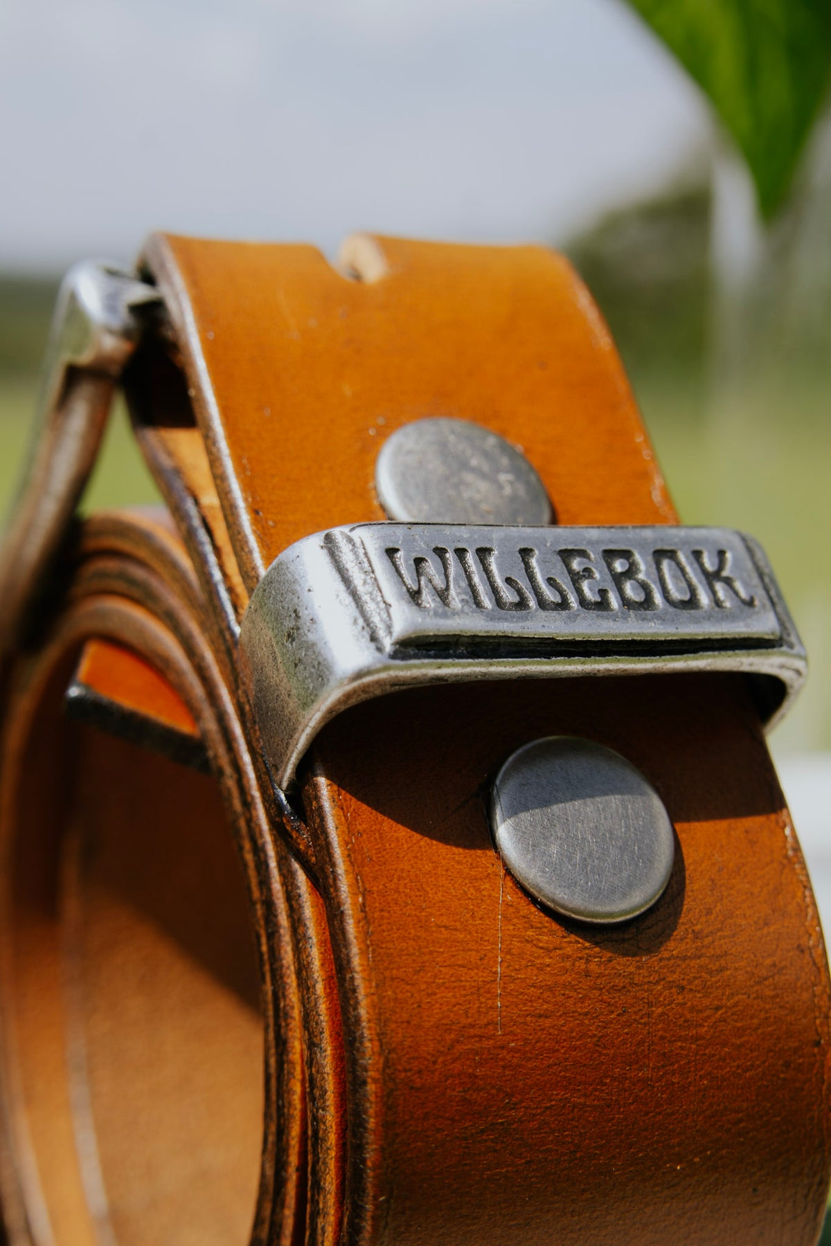 Signature Belt (38mm wide)