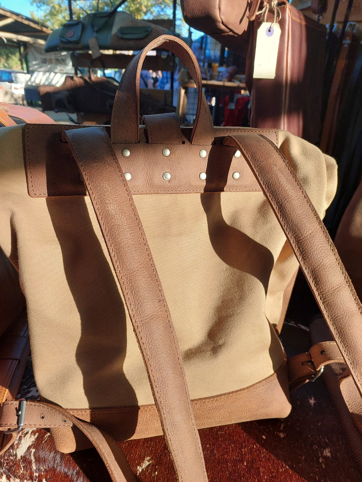 Eland Backpack w/ Canvas